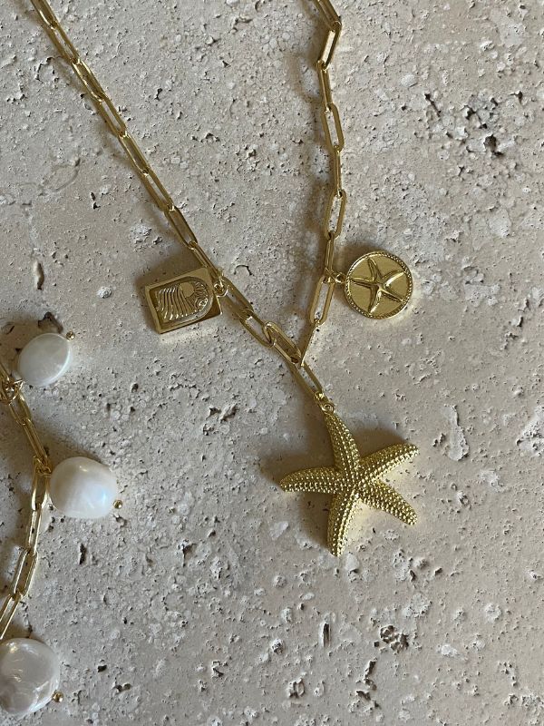 Starfish Dreams Seaside Charm Necklace